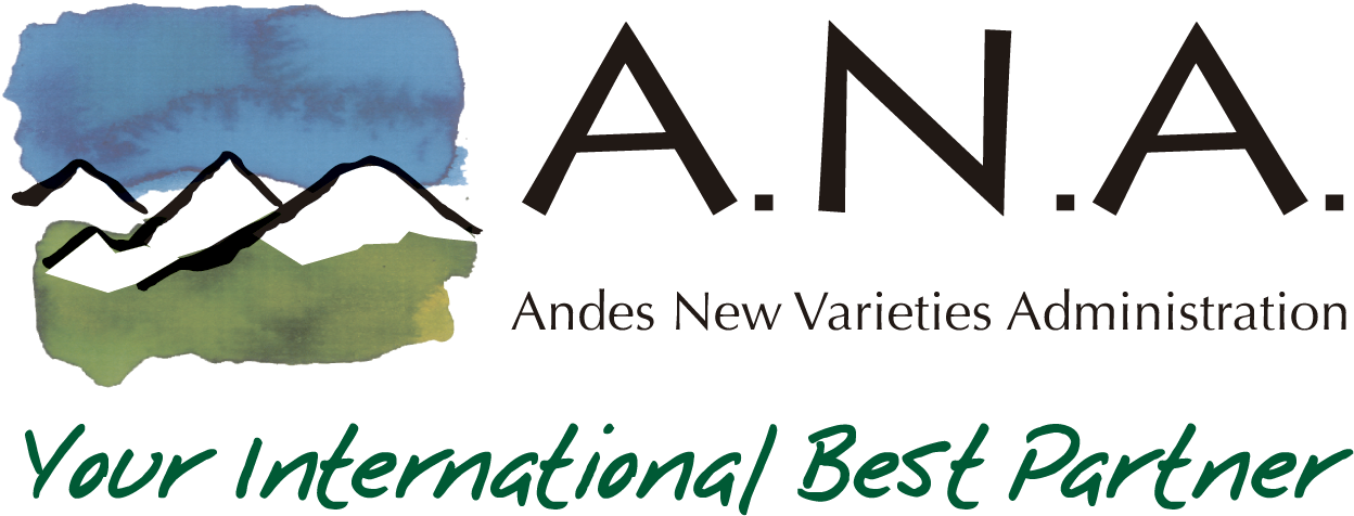 ANA